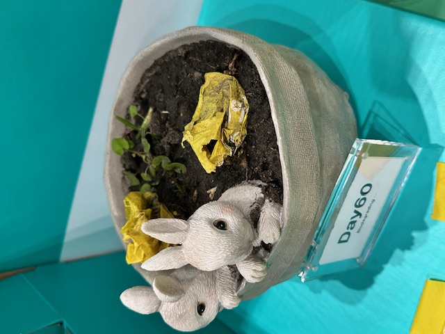DeoDoo Day 60 — bolsa compostable descomponiéndose en tierra a los 60 días